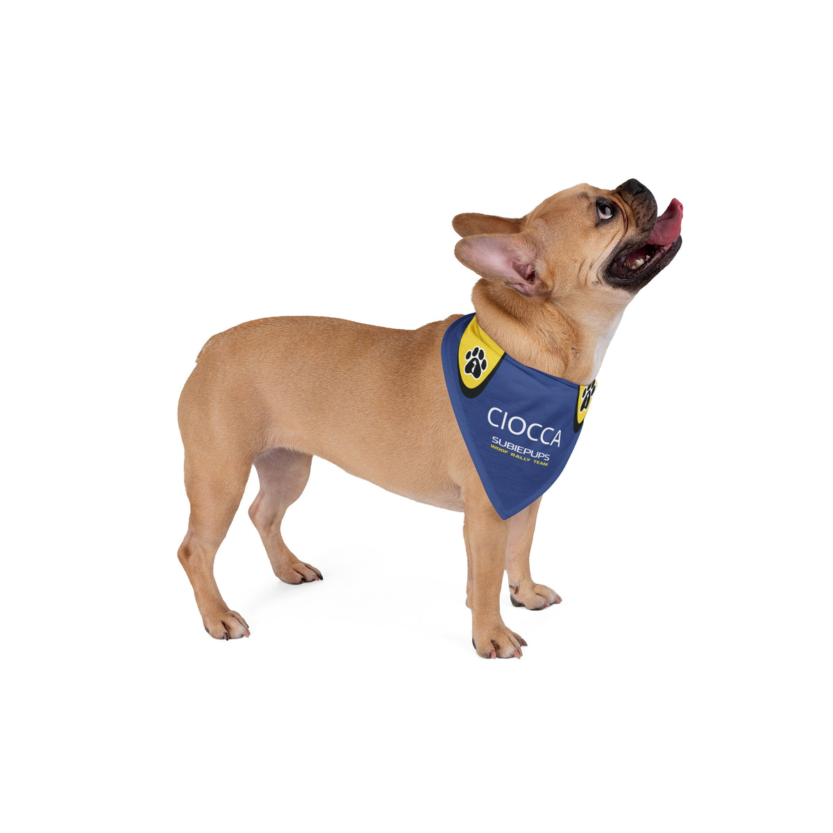 Copy of Copy of Woof Rally Team Bandana – Personalized for Your Co-Pilot