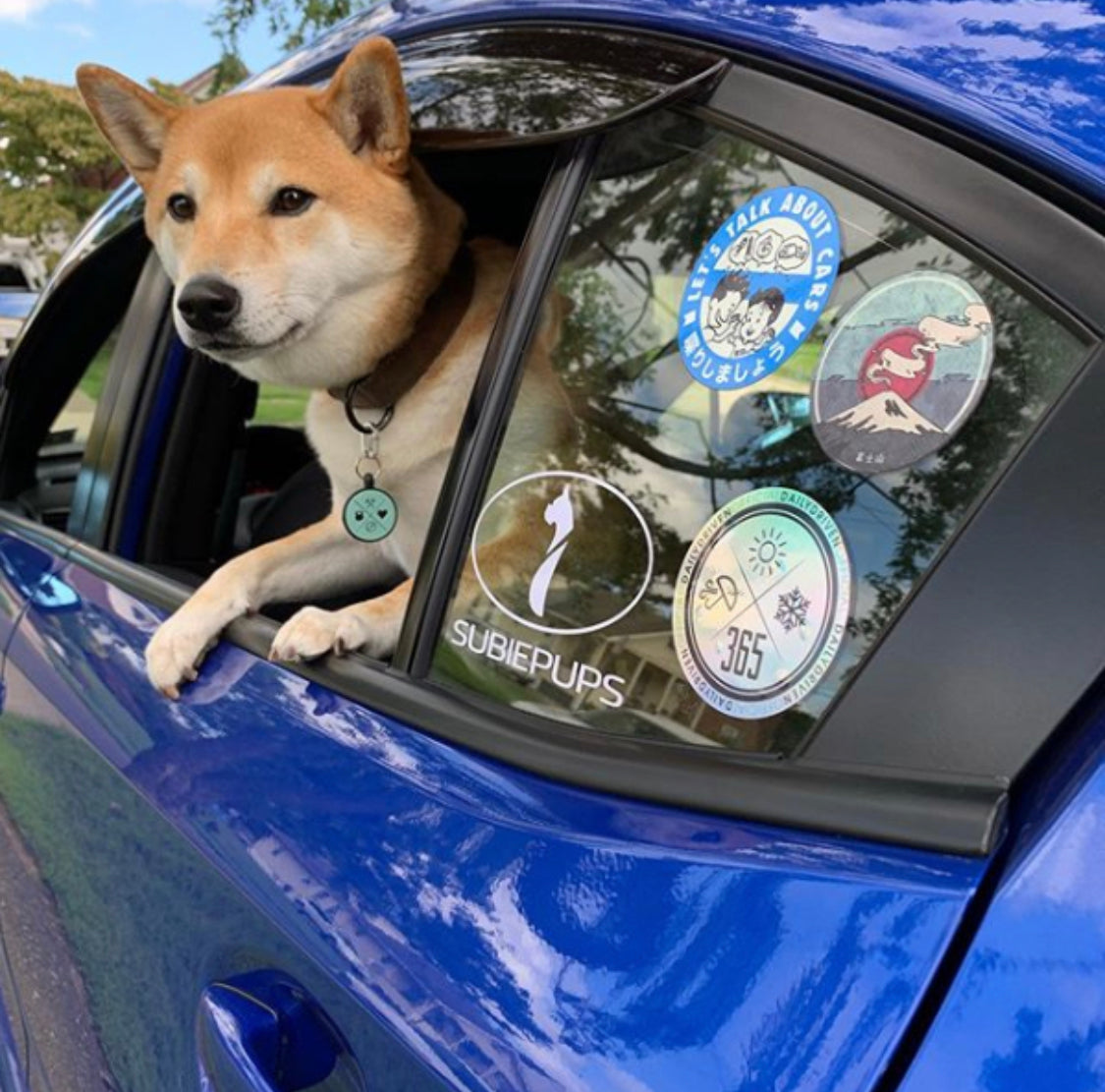Free SubiePups Decal Set (First 50 Only)