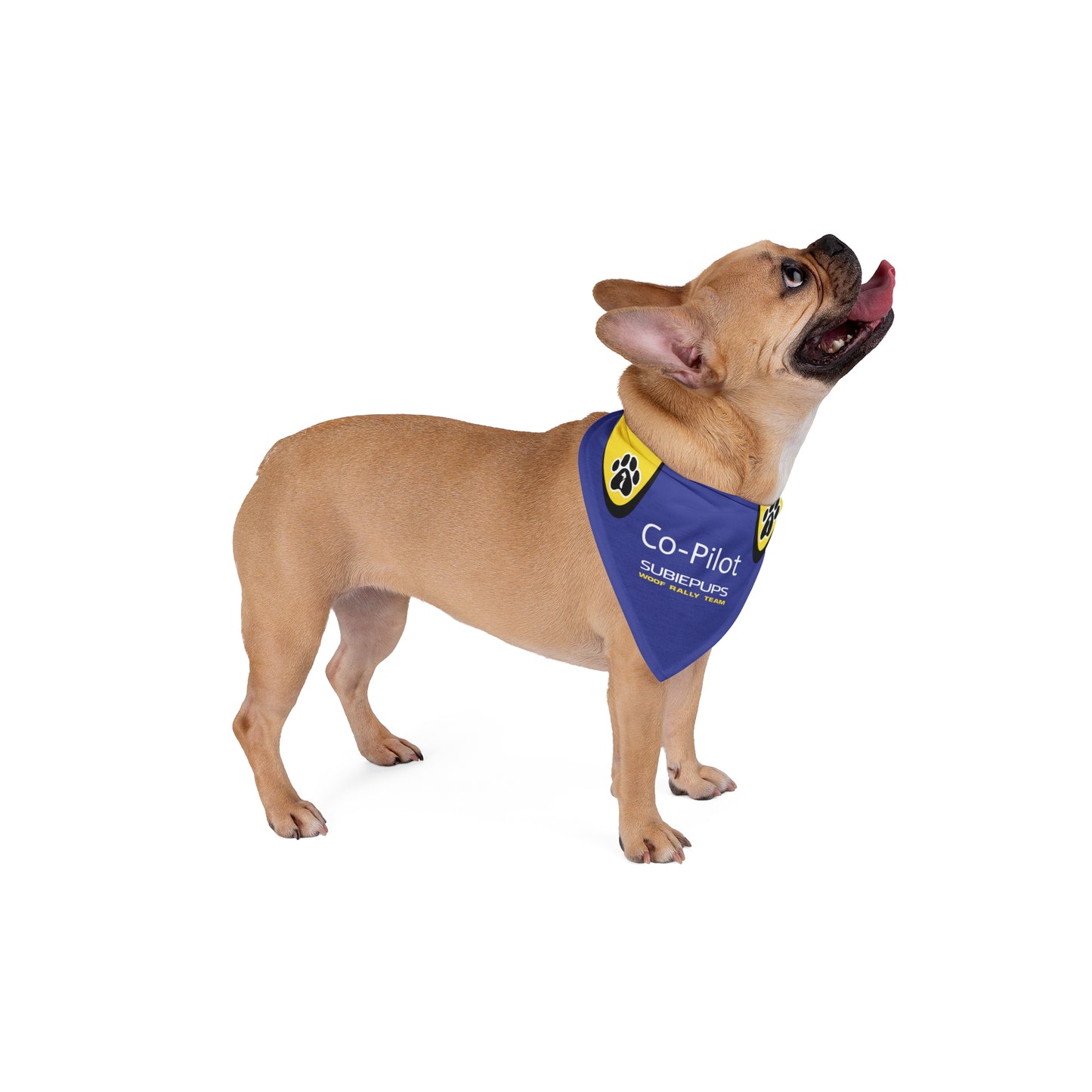 Woof Rally Team - Bandana