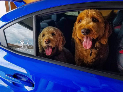 Free SubiePups Decal Set (First 50 Only)